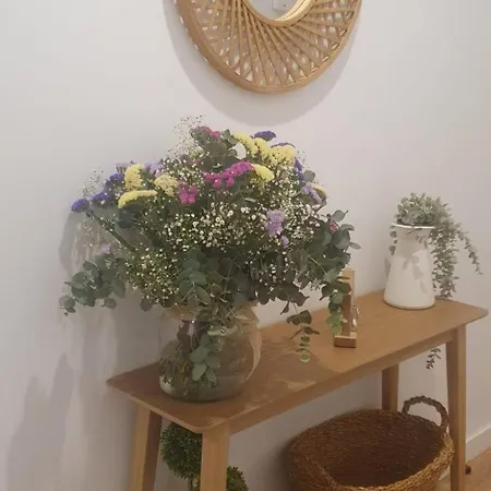 Apartment Bellavista